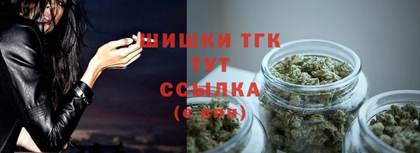 амф Мегион