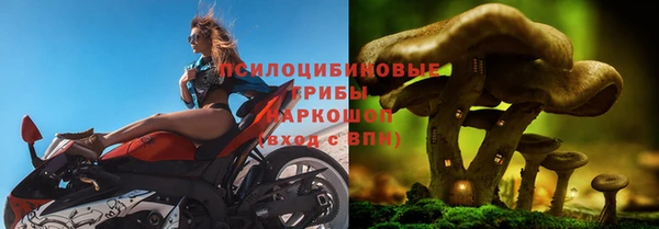 mdpv Гусиноозёрск