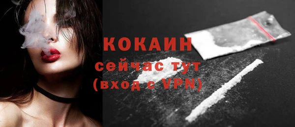 винт Гусев