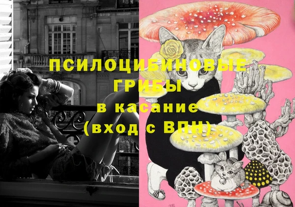 метамфетамин Гусь-Хрустальный