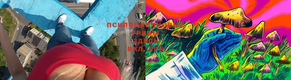 mdpv Гусиноозёрск