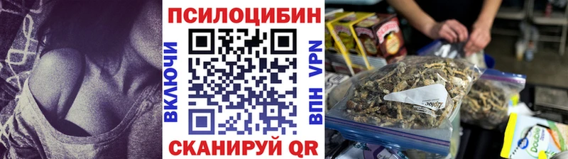Псилоцибиновые грибы GOLDEN TEACHER  Гусь-Хрустальный 