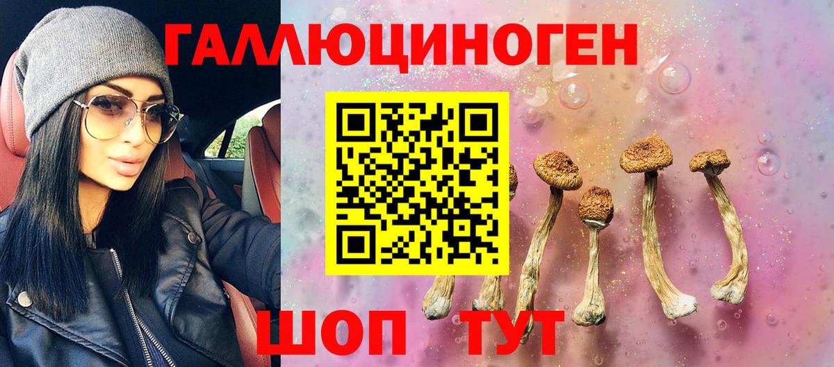 ГАШ  Каннабис  Вход с VPN  MDMA  Гусь-Хрустальный  Мефедрон   Кокаин  Меф МЯУ МЯУ  НБОМе 